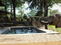 Khanya Tented Camp - Bed and Breakfast Phalaborwa