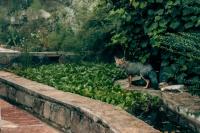 Casa Kuhstall - Bed and Breakfast La Cumbrecita