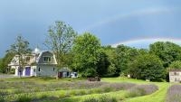 La Soledad Lavender Farm and Guesthouse - B&B