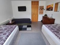 Triple Room with Shared Bathroom