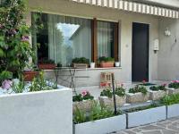 Green House Next - Lovely Apartment for family and Free Parking - B&B