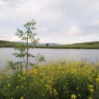 Green Lake Vashlovani - Bed and Breakfast