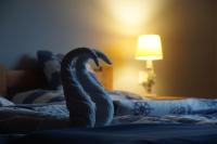 Familiesuite met Balkon