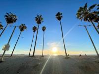 1BD Modern Venice Beach 12B - B&B Los Angeles