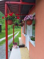 Darija & Srđan - Bed and Breakfast Mojkovac