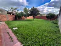 Magnolia azul - B&B Federación