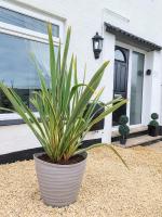 'Serenity in Somerset ' Self Catering House Rental Near Chard , Ideal Accomodation for Contract Workers working In Chard - B&B