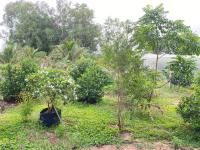 Chambre Double - Vue sur Jardin