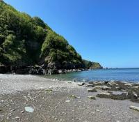 Kittiwake, Moor and Sea Holidays, lovely space near the North Devon Coast - Chambres d’hôtes
