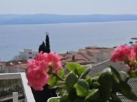 Studio apartment in Duce with sea view, balcony, air conditioning, WiFi 5067-6 - Chambres d'hôtes Duće