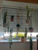 La casa d'isa - B&B Ducey