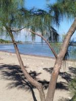 Un air de voyage, T2 à 150 m du lagon - B&B Saint-Leu