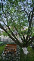 Casa Veronica - B&B Buşteni