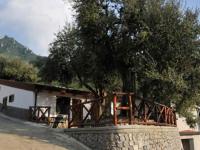 Casa Vacanze Dalisa Ulivo A con parcheggio - Chambres d’hôtes Tramonti