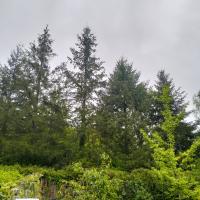 Habitación Superior - 1 cama grande