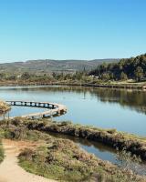 Appartement 1 chambre - Bed and Breakfast Peyriac-de-Mer