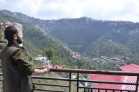 Family NEST - Bed and Breakfast Shimla