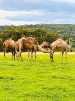 Holiday House - Ferienwohnung Lysterfield