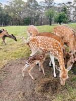 Holiday House - B&B Lysterfield