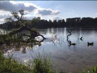 Domek w Zaciszu - B&B Cieszyno