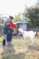 Tainan House Awaji - B&B