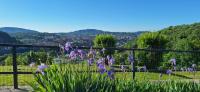 Villa Duno a un passo da Città Alta - B&B Clanezzo
