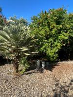 Villa Pelops Petalidi - B&B