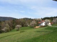 Haus Panorama - B&B
