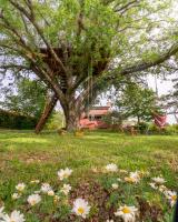 La Casa Rossa nell’Oasi verde - B&B Canale Monterano