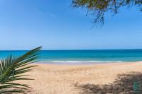 Havre de paix proche de la plage de la Perle - B&B Deshaies