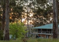Blue Moon Forest Lodge - B&B
