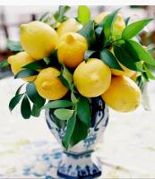 B&B da Giovy - Bed and Breakfast Marsala