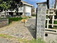 Maison 31 - una casa nel verde vicino a Torino - B&B Leinì
