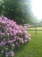 Etzauer Mühle im Taunus, Mensch-Zeit-Pferd - Ferienwohnung Wahlrod