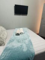 Icebolethu Guest House - B&B Standerton