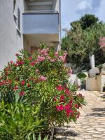 Apartment Perla - B&B Dinjiška