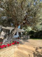 AdriaticHaven Villa - B&B