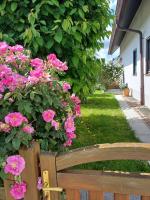 Ferienwohnung Unter dem Sonnberg - B&B Auggen