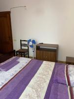 King Room with Garden View