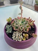 Chipibeach B&B, Hostal Boutique - Ferienwohnung Chipiona