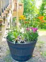 Iron Gate Chalet - 5 Minutes to Smugglers Notch! - B&B Cambridge