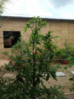 Bentrestay - B&B Bến Tre