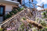 Koroni Family house with the best view - B&B Koroni