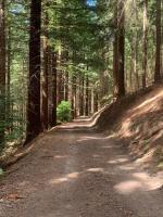 Tank Barn at Brook House, Nestled in the Welsh Hills, a delightful retreat - B&B Welshpool