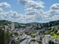 Paisible Eden standing Terrasse - Magnifique Vue - Esprit nature en pleine ville - B&B Tulle