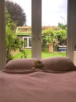 Camera Matrimoniale con Bagno Privato