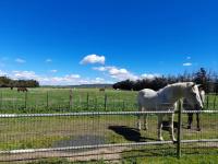 Ancien Couvent avec piscine entre Alpilles et Camargue pour 10 personnes - Chambres d'hôtes Arles