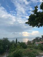 Olivia -Ελιά - B&B Palaio Tsifliki