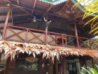 Punta Uva Puerto Viejo Beach Front House with Swimming Pool - B&B Punta Uva