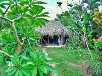Dream Glamping Jungle Bohio - B&B